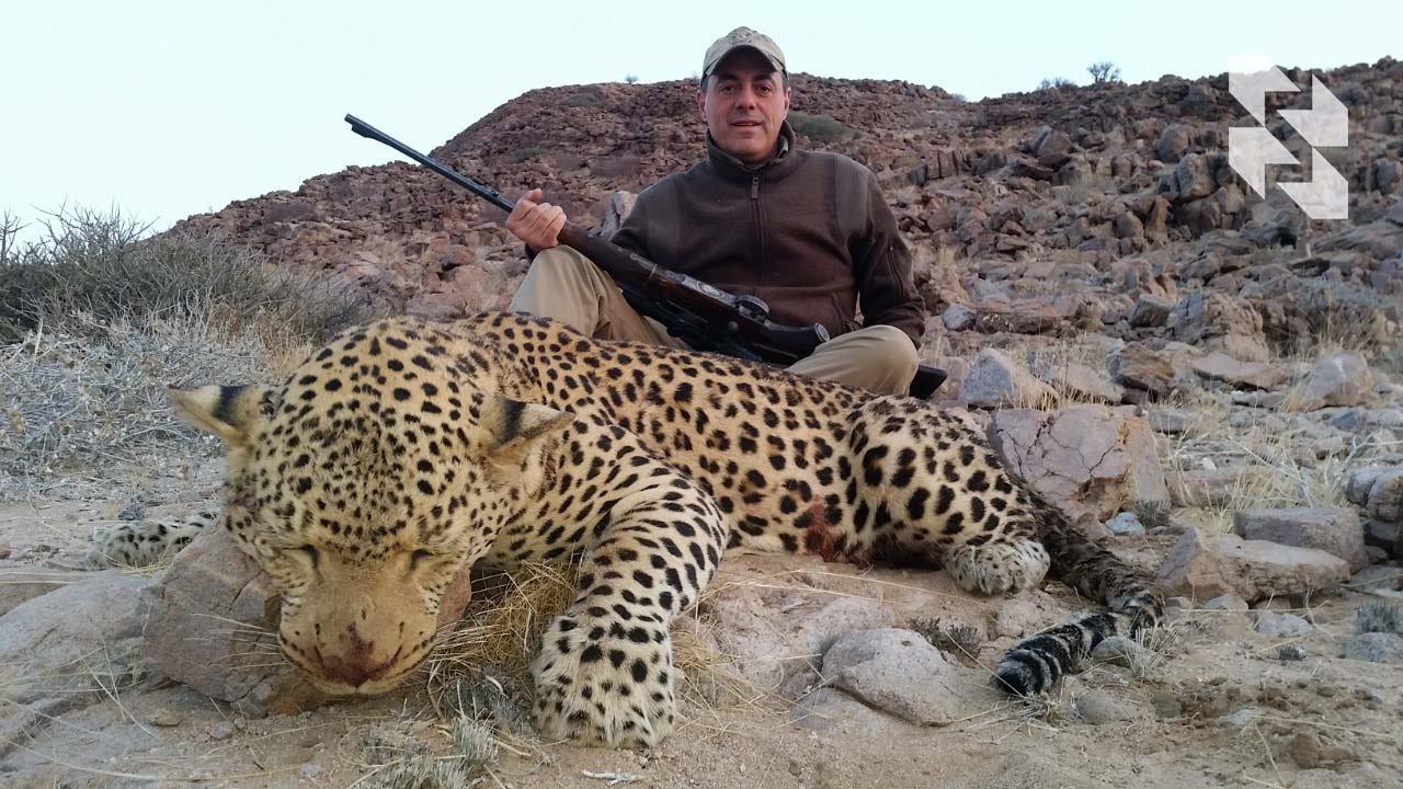 Leopard Hunting in Namibia