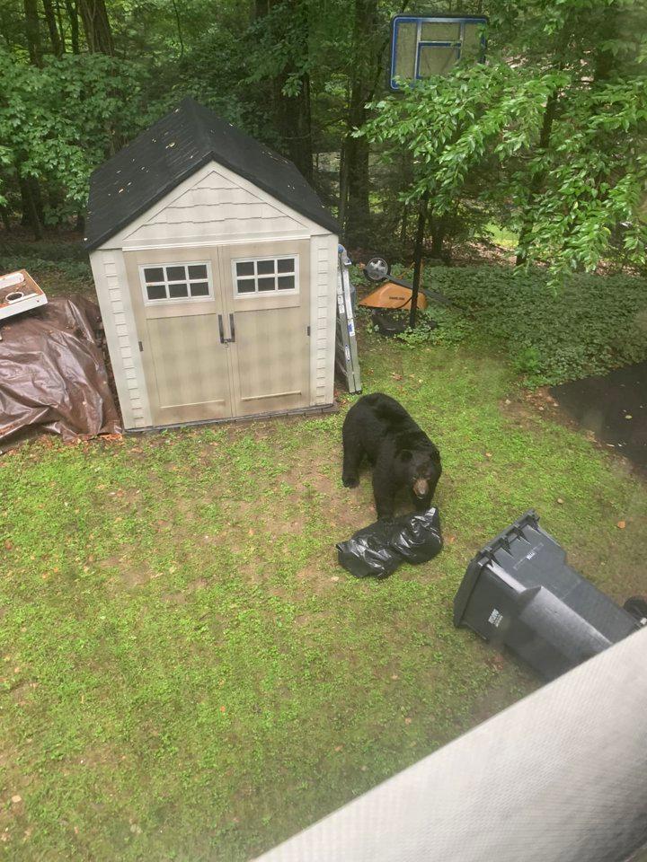 Photo from news post