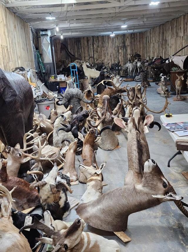 Photo from news post