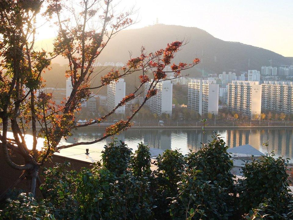 서울특별시에서의 사냥: 지역의 자연 환경과 사냥 문화 