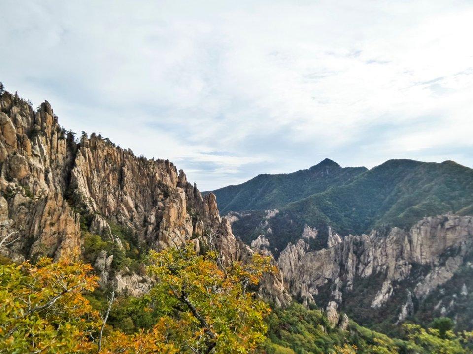 태백산 사냥 금지 구역 
