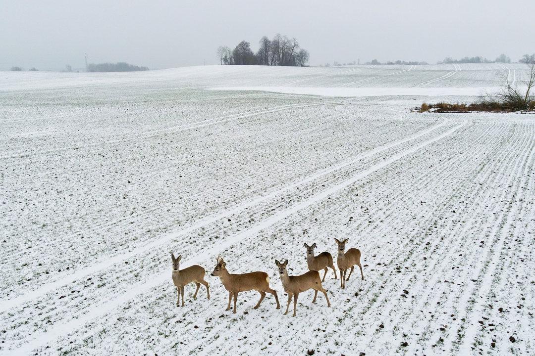 Photo from news post