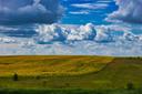 La chasse dans les PRAIRIES canadiennes : Animaux emblématiques, territoires ouverts et calendrier des saisons

Les Prairies canadiennes, composées principalement des pro
