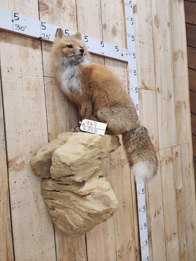 Photo from news post