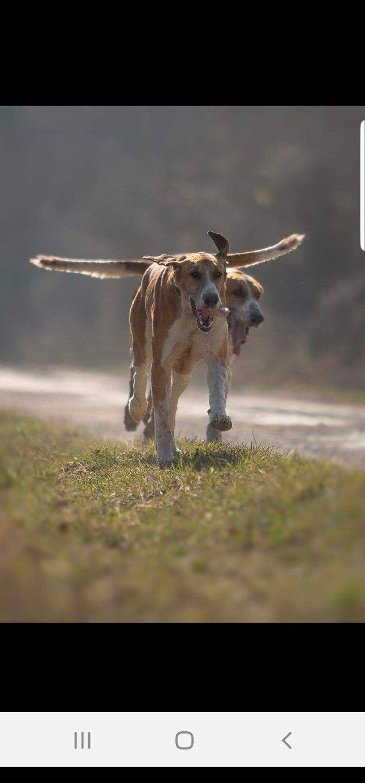 Photo from news post