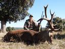 Jagd im Bezirk Schaffhausen (Kanton Schaffhausen), Schweiz: Merkmale, Jagdgesellschaft, Jagdstrategien, Jagdmethoden, Jagdzeiten, Organisationen, Regeln und Bräuche

Naturräumliche Bedingungen für die Jagd

Der Kanton Schaffhausen bietet eine vielfältige Landschaft, die sich ideal für die Jagdausübung eignet. Die Region ist charakterisiert durch sanfte Hügel, dichte Wälder und ausgedehnte landwirtschaftliche Flächen. Diese Lebensräume beherbergen eine reiche Vielfalt an Wildtieren, darunter Hirsche, Rehe, Füchse und Wildschweine. Die Nähe zum Rhein und anderen Gewässern schafft zusätzliche Möglichkeiten für die Jagd auf Wasservögel. Die abwechslungsreiche Topografie stellt eine besondere Herausforderung für Jäger dar, bietet aber gleichzeitig ein reichhaltiges und lohnendes Jagderlebnis. Durch die Nähe zu städtischen Zentren ist der Kanton Schaffhausen gut erreichbar, während die ländliche Umgebung eine ruhige und naturnahe Atmosphäre für die Jagd bewahrt.

Die Jägerschaft in Schaffhausen

Im Kanton Schaffhausen existiert eine engagierte Jagdgemeinschaft mit rund 220 aktiven Jägerinnen und Jägern. Diese sind gut strukturiert und beteiligen sich aktiv an Naturschutzmassnahmen und Projekten zur Lebensraumverbesserung. Ein Grossteil der Jäger ist Mitglied in lokalen Jagdvereinen, die regelmässige Zusammenkünfte und Weiterbildungen organisieren, um ethische Grundsätze und nachhaltige Jagdmethoden zu fördern und sicherzustellen. Die Jägerschaft setzt sich überwiegend aus Einheimischen zusammen, zieht aber auch einige Jäger aus anderen Regionen oder dem Ausland an, die die besondere Landschaft und den guten Wildbestand schätzen.

Charakteristika der Schaffhauser Jagd

Die Jagd im Kanton Schaffhausen verlangt eine gute körperliche Verfassung sowie fundierte Kenntnisse der örtlichen Gegebenheiten. Die ausgedehnten Waldgebiete und die hügelige Landschaft stellen hohe Anforderungen an die Jäger, die oft weite Strecken zurücklegen müssen, um erfolgreich zu sein. Die Jagdausübung ist durch kantonale Gesetze streng geregelt, um die Wildtierpopulationen gesund und im Gleichgewicht zu halten. Jäger sind verpflichtet, sich an strikte Vorschriften zu halten, was die Einhaltung der Jagd- und Schonzeiten sowie den sachgemässen und tierschutzkonformen Einsatz von Jagdwaffen einschliesst. Die Jagd in Schaffhausen legt grossen Wert auf Nachhaltigkeit und einen respektvollen Umgang mit der Natur.

Wildarten und Methoden

Hochwildbejagung: Im Fokus stehen Hirsche und Rehe, die in den Wäldern und auf den Feldern zahlreich vorkommen. Diese Jagd erfordert Geduld, Ansprechkenntnisse und gutes Orientierungsvermögen im Gelände.
Schwarzwildbejagung: Wildschweine sind ebenfalls häufig und ihre Bejagung ist anspruchsvoll. Spezifische Jagdstrategien und geeignete Ausrüstung sind für die Jagd auf diese intelligenten Tiere notwendig.
Niederwildbejagung: Füchse, Hasen und andere kleinere Säugetiere werden oft mittels Fallenfang oder mit kleinkalibrigen Büchsen und Flinten bejagt. Präzision und Beobachtungsgabe sind hierbei wichtig.
Federwildbejagung: Enten, Fasane und anderes Flugwild werden in den Feuchtgebieten entlang des Rheins sowie auf landwirtschaftlichen Flächen bejagt. Dies erfordert spezielle Kenntnisse und Ausrüstung.

Jagdsaisons im Bezirk Schaffhausen

Hauptjagdsaison: Die reguläre Jagdzeit für Hochwild wie Hirsche und Rehe beginnt im September und endet im Dezember. Die Jagd auf Wildschweine ist grundsätzlich ganzjährig möglich, unterliegt jedoch Einschränkungen während der Setz- und Brutzeiten.
Schonzeiten: Während der Schonzeiten, hauptsächlich von Januar bis August, ist die Jagd auf viele Wildtierarten untersagt, um den Schutz der Jungtiere und der Elterntiere während der Aufzucht zu gewährleisten.
Spezielle Schutzmassnahmen: Für bestimmte Arten, wie beispielsweise den Fuchs, können zusätzliche Bestimmungen gelten, um die Populationen effektiv zu regulieren und zu schützen.

Jagdliche Vereinigungen und Verbände

Schaffhauser Jagdverband: Als Dachorganisation der Jäger im Kanton bietet der Verband Ausbildungen, Kurse und regelmässige Informationsveranstaltungen an. Er engagiert sich für eine nachhaltige Jagdpraxis und den Artenschutz.
Lokale Jagdgesellschaften: Mehrere lokale Vereine fokussieren sich auf spezifische Jagdarten oder Reviere und bieten ihren Mitgliedern Unterstützung und Weiterbildung. Sie arbeiten eng mit den kantonalen Behörden bei der Jagdplanung und -überwachung zusammen.
Naturschutzpartner: Es besteht eine Zusammenarbeit zwischen Jägern und Naturschutzorganisationen, um gemeinsam nachhaltige Jagdmethoden zu fördern und die Biodiversität im Kanton zu erhalten.

Rechtliche Rahmenbedingungen der Jagd

Jagdberechtigung: Jäger benötigen einen gültigen Jagdpass, der von den kantonalen Behörden nach bestandener Prüfung ausgestellt wird. Der Erwerb und Besitz des Jagdpasses ist an strenge Auflagen geknüpft, wie regelmässige Weiterbildung und die Einhaltung der Jagdvorschriften.
Waffengebrauch: Der Einsatz von Schusswaffen ist detailliert geregelt. Jäger müssen sicherstellen, dass ihre Waffen den gesetzlichen Normen entsprechen und tierschutzgerecht sowie sicher verwendet werden.
Jagdverbote: Die Jagd in ausgewiesenen Schutzgebieten und in unmittelbarer Nähe von Siedlungen ist untersagt. Sicherheitsabstände zu Strassen und öffentlichen Wegen müssen eingehalten werden.
Streckenmeldung: Jäger sind dazu verpflichtet, erlegtes Wild den zuständigen Behörden zu melden. Diese Daten dienen der Überwachung der Wildbestände und der Anpassung der Abschusspläne.

