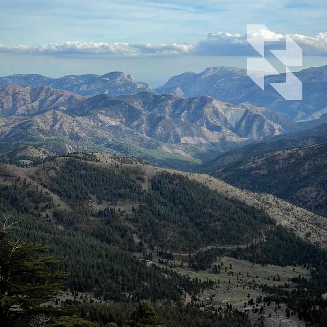 Photo from news post