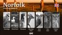 Hunting Seasons and Regulations in Norfolk: Seasonal Patterns and Game Activity, How to Obtain a Hunting License in the Region

Norfolk, with its diverse landscapes and r