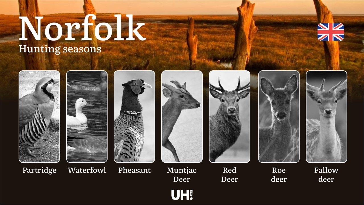 Hunting Seasons and Regulations in Norfolk: Seasonal Patterns and Game Activity, How to Obtain a Hunting License in the Region