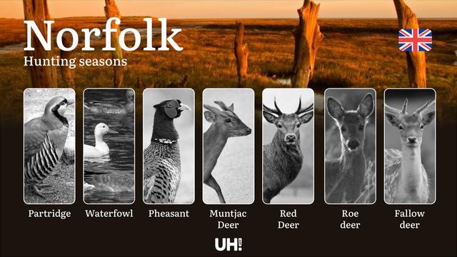 Hunting Seasons and Regulations in Norfolk: Seasonal Patterns and Game Activity, How to Obtain a Hunting License in the Region