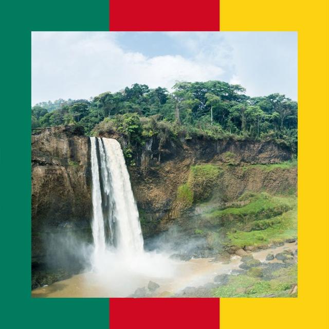 Cameroon: All About Hunting and Fishing, News, Forum avatar