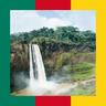 Cameroon: All About Hunting and Fishing, News, Forum avatar