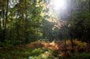 Helsinki Hunting: The Complete Overview of Legislation, Demographics, Laws, and Traditions

Helsinki, Finland’s vibrant capital, may not immediately come to mind as a hun