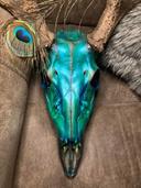 High and low light of a metallic peacock feather inspired euro paint 😁
