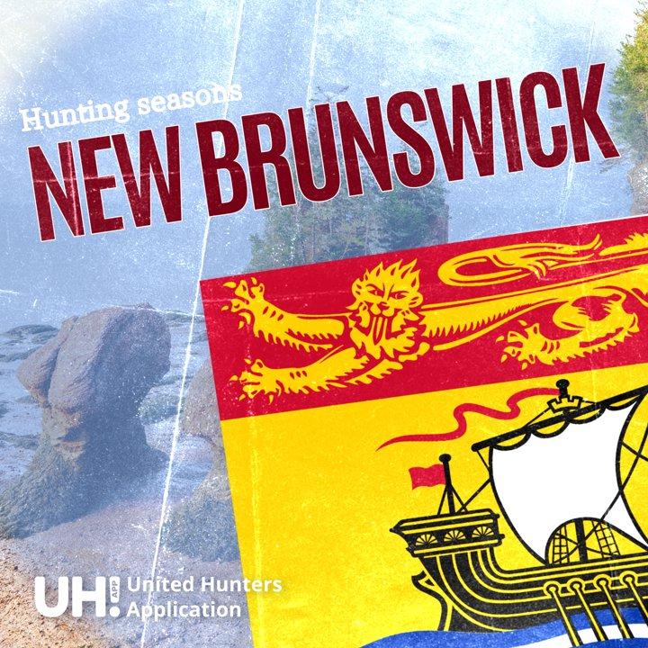 HUNTING SEASONS IN NEW BRUNSWICK, CANADA 2025–26: Big Game and Small Game, Licenses, and Regulations Guide