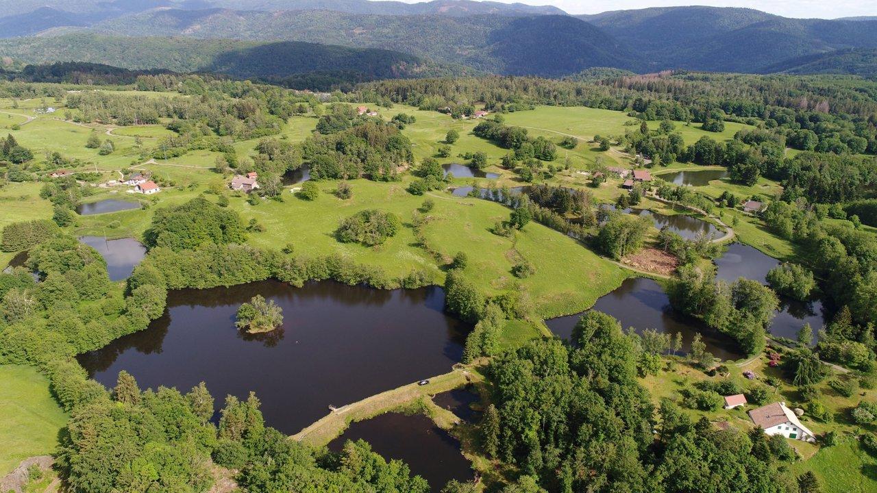 La chasse en HAUTE-SAÔNE: Démographie cynégétique, législation encadrante, faune locale et traditions rurales