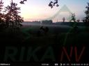 🐇📸Mali izbor atmosferskih snimaka sa hranilišta u zemlji, gdje lokalno stanovništvo dolazi danju i noću!