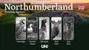 Hunting in Northumberland: Season Dates, Legal Limits, Licensing & Expert Tips

Northumberland, characterized by its vast moorlands, forests, and coastal areas, provides 