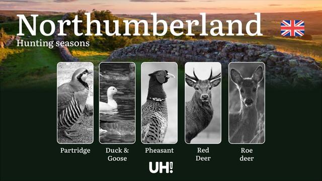 Hunting in Northumberland: Season Dates, Legal Limits, Licensing & Expert Tips