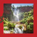 Morocco: Everything About Hunting and Fishing, News, Forum
