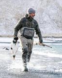 The Pacific Eider is arguably the most difficult and dangerous duck to hunt in North America. ⁣
These robust, hearty ducks call the Bering Sea home, and trust me, this place is no joke. Every move has to be thought out and measured against the unknowns and the potential risk. The water is freezing cold and the swell can build from any direction in an instant. The wind and current coupled with jagged cliffs, submerged mountains, volcanoes and the Aleutian Trench that all contribute regularly to building disorganized waves the size of houses, which make the skipper’s job quite literally death defying.⁣
⁣
We come here to truly live our lives, to hunt, and to gather and our days here are spent in awe. This is a very special place, right down to the ducks.⁣
⁣
The Pacific Eider are mesmerizing to watch. Their “paint job” is nearly indescribable, pure beauty, and yet they thrive in the harshest of conditions just swimming along, riding the surf, feeding, loafing, and courting their deep chocolate colored hens. ⁣
⁣
These birds have been recorded diving as deep as 300 feet to feed on clams, which they will straight up crush in their bills (imagine the power that it takes to crush a clam shell). They’re as tough a bird as it gets and one of the main reasons why we leave in the dark, and maybe, risk more than we should to get close to them.
