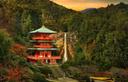 Japan
The numbers of licensed hunters in Japan, including those using snares and guns, is generally decreasing, while their average age is increasing. As of 2010, there were approximately 190,000 registered hunters, approximately 65% of whom were sixty years old or older.