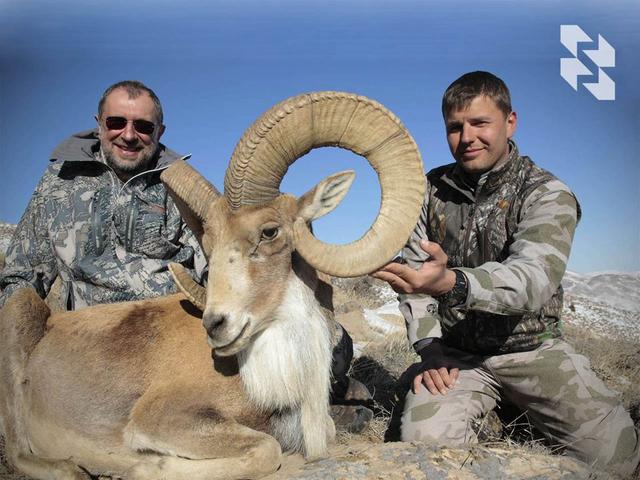 Trophy Universal: Urial
