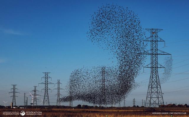 Photo from news post