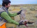 5 AWESOME DIY HUNTS YOU CAN TAKE THIS YEAR

1. WYOMING SAGE GROUSE
2. GREAT SALT LAKE DUCKS
3. MONTANA BLACK BEAR
4. ARIZONA MULE DEER
5. COLORADO ELK
