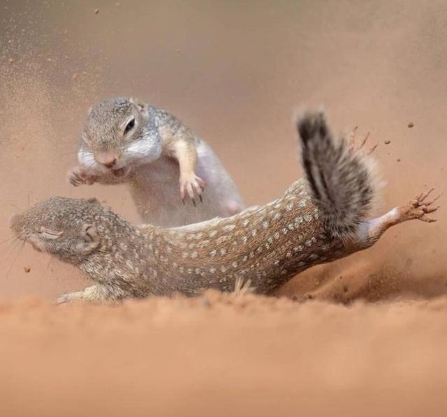 Photo from news post