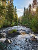 We are waiting for cold autumn. Oulu,Finland
