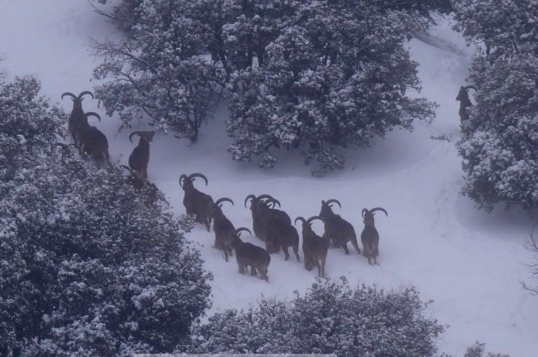 Photo from news post
