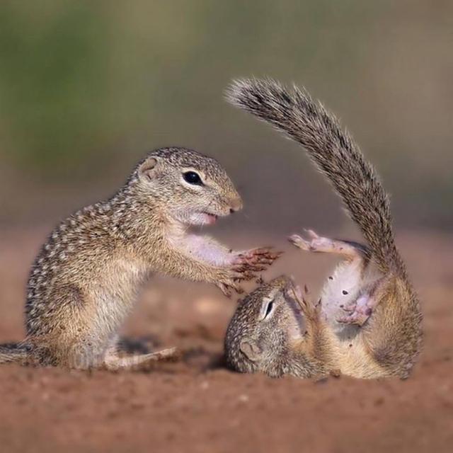 Photo from news post
