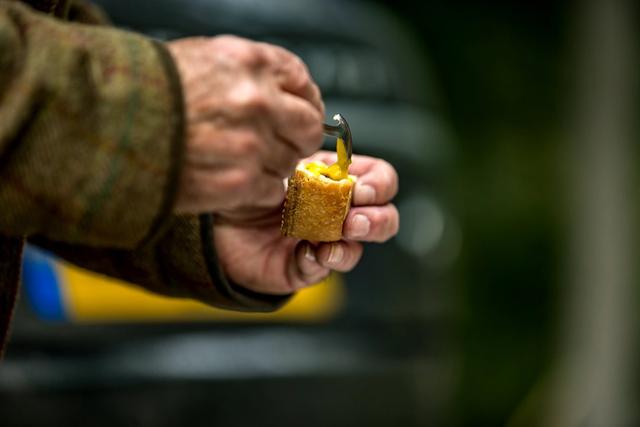 Walking Gun Field Sports Photography