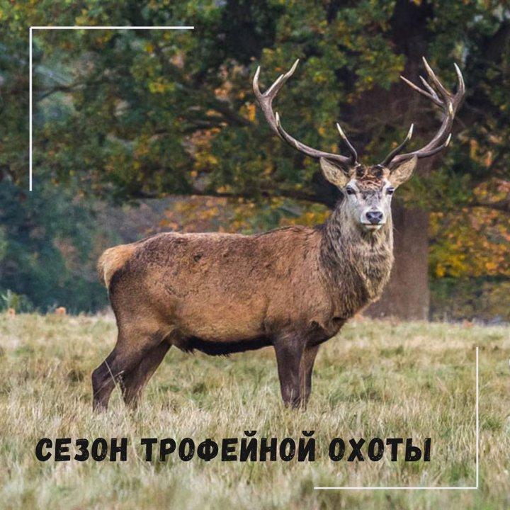 Photo from news post