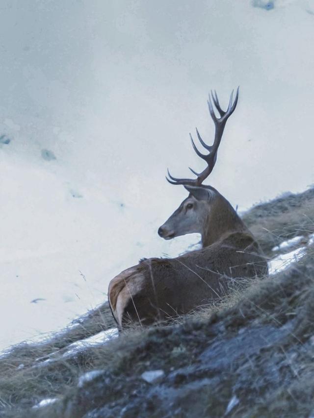 Photo from news post