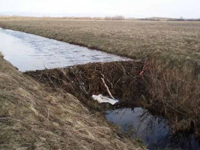 Photo from news post