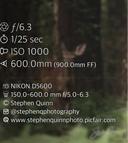 Deer season is upon us! 

#deer #hunting #PhotoMode #whitetail #photography