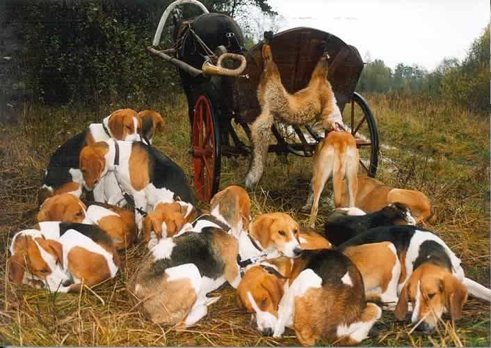 Photo from news post