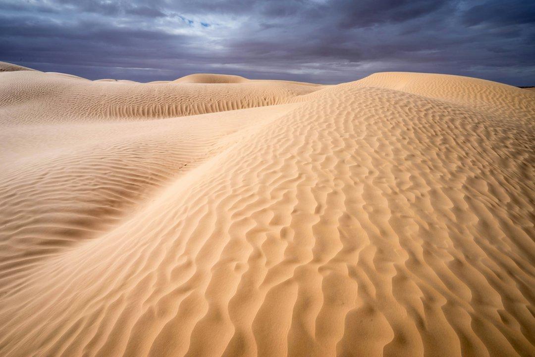 Stalking Grounds of JENDOUBA: Hunting Seasons, Laws and Demographics, Geography of Tunisia