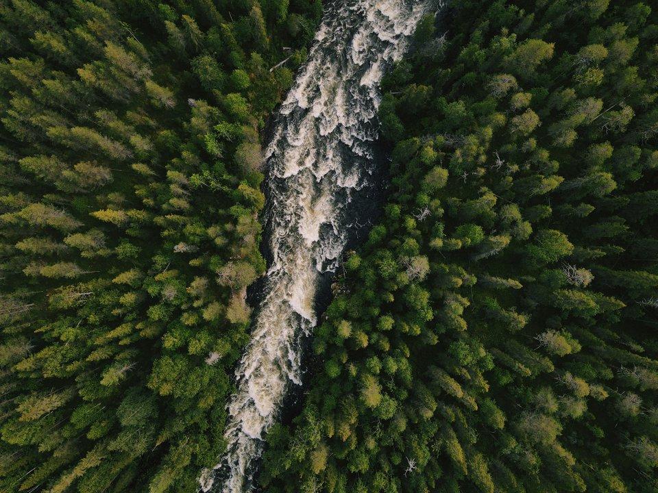 Selbu Hunting Cabins: A Gateway to Norway’s Wilderness.