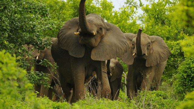 Serere, Uganda: Geography and Natural Features, An Enigmatic Journey into Nature's Splendor and Thrilling Hunting Adventures