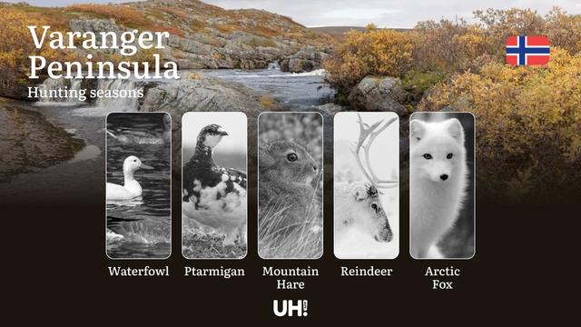 Varanger Peninsula: <strong>Hunting</strong> Seasons and Timing, Regulations and Licensing, Required Documents and Procedures, Tips for Hunters