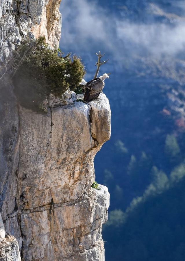 Photo from news post