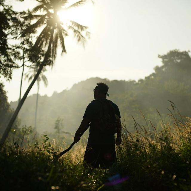 senegal_hunter avatar