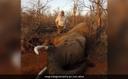 Trophy Hunter Who Killed Many Wild Animals Shot Dead

A man who hunted endangered animals and posted images of himself next to their carcasses was shot dead in South Africa, according to a report. A man who hunted endangered animals and posted images of himself next to their carcasses was shot dead in South Africa, according to a report in Independent.

Fifty-five-year-old Riaan Naude was driving when a car pulled up next to his truck in Limpopo. The occupants of the car shot Mr Naude from a close range near the Kruger National Park wildlife reserve, the outlet further said in its report. He was killed on the spot.
"The man was lying with his face up and there was blood on his head and face," said Lieutenant Colonel Mamphaswa Seabi, a spokesperson for South Africa's national police agency.

"The motive for the attack and the subsequent murder is unknown at this stage," he said.

According to the posts shared on his Instagram profile Pro Hunter Africa, Mr Naude killed many wild animals, took photographs with them and posted on his social media sites.

Officers discovered a pair of hunting guns, clothing, water, whisky, and pyjamas from the scene of crime, according to local media reports.

According to the Heritage Protection Group, a non-profit anti-rhino poaching organisation, there are two suspects in the hunter's murder.

Mr Naude's firm, situated in northern South Africa, describes itself as a "hunting and Eco Safari outfit", according to New York Post.