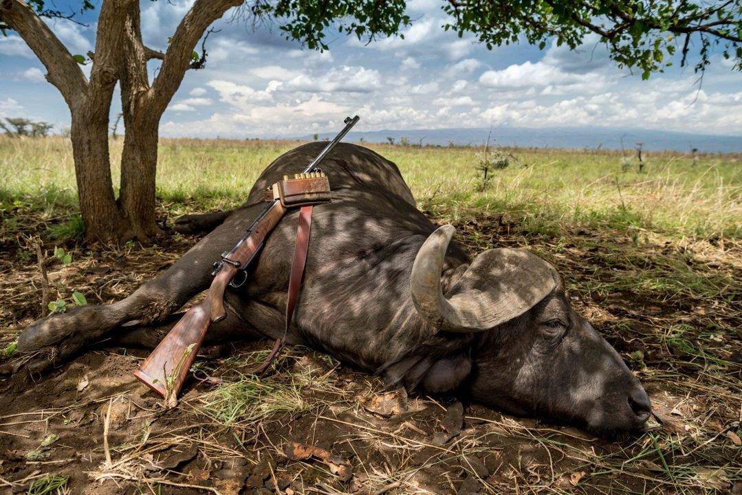 Hunting in Nakaseke Region, Uganda: Geographical Features, Thrilling Safari Adventures and Cultural Immersion (Part I)
