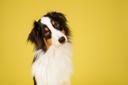 Lorem ipsum dolor sit amet, consectetur adipiscing elit. Nullam nisl mi, porttitor vel odio et, aliquam pulvinar mauris. In ultricies pretium mi, congue lobortis arcu porta id. Mauris eget commodo metus. Integer non libero sed dui dictum egestas. In in elit sodales est convallis pretium. Nam eu ligula blandit, pellentesque neque at, euismod erat. Nunc eros sapien, posuere vel sapien efficitur, facilisis bibendum metus. Vivamus ac urna risus. Vivamus rutrum convallis laoreet.

Quisque vitae elit lectus. Phasellus scelerisque, urna sed tempus bibendum, lectus erat tristique massa, ut porttitor nulla justo sit amet velit. Sed aliquet lectus id risus vehicula, vitae malesuada mi laoreet. Etiam sit amet ipsum est. Donec iaculis risus magna, non rutrum leo iaculis in. Nulla dapibus neque in ex posuere sollicitudin. Suspendisse auctor vitae risus ut pellentesque. Sed dolor turpis, ullamcorper quis ligula eget, ornare pretium sem. Vivamus nec ullamcorper libero.

Nulla facilisi. Quisque ultricies, augue vel dictum dapibus, magna libero luctus sapien, a pellentesque augue ipsum sit amet mi. Ut quis metus velit. Etiam nec augue vitae eros congue dictum. Donec ullamcorper enim sit amet arcu dignissim, eget imperdiet dolor facilisis. Etiam quis ligula vitae enim malesuada molestie. Praesent et urna venenatis, tristique sem id, finibus arcu. Vivamus et sagittis libero, ac porta felis. Morbi sit amet aliquet nisi.Lorem ipsum dolor sit amet, consectetur adipiscing elit. Nullam nisl mi, porttitor vel odio et, aliquam pulvinar mauris. In ultricies pretium mi, congue lobortis arcu porta id. Mauris eget commodo metus. Integer non libero sed dui dictum egestas. In in elit sodales est convallis pretium. Nam eu ligula blandit, pellentesque neque at, euismod erat. Nunc eros sapien, posuere vel sapien efficitur, facilisis bibendum metus. Vivamus ac urna risus. Vivamus rutrum convallis laoreet.

Quisque vitae elit lectus. Phasellus scelerisque, urna sed tempus bibendum, lectus erat tristique massa, ut porttitor nulla justo sit amet velit. Sed aliquet lectus id risus vehicula, vitae malesuada mi laoreet. Etiam sit amet ipsum est. Donec iaculis risus magna, non rutrum leo iaculis in. Nulla dapibus neque in ex posuere sollicitudin. Suspendisse auctor vitae risus ut pellentesque. Sed dolor turpis, ullamcorper quis ligula eget, ornare pretium sem. Vivamus nec ullamcorper libero.

Nulla facilisi. Quisque ultricies, augue vel dictum dapibus, magna libero luctus sapien, a pellentesque augue ipsum sit amet mi. Ut quis metus velit. Etiam nec augue vitae eros congue dictum. Donec ullamcorper enim sit amet arcu dignissim, eget imperdiet dolor facilisis. Etiam quis ligula vitae enim malesuada molestie. Praesent et urna venenatis, tristique sem id, finibus arcu. Vivamus et sagittis libero, ac porta felis. Morbi sit amet aliquet nisi.Lorem ipsum dolor sit amet, consectetur adipiscing elit. Nullam nisl mi, porttitor vel odio et, aliquam pulvinar mauris. In ultricies pretium mi, congue lobortis arcu porta id. Mauris eget commodo metus. Integer non libero sed dui dictum egestas. In in elit sodales est convallis pretium. Nam eu ligula blandit, pellentesque neque at, euismod erat. Nunc eros sapien, posuere vel sapien efficitur, facilisis bibendum metus. Vivamus ac urna risus. Vivamus rutrum convallis laoreet.

Quisque vitae elit lectus. Phasellus scelerisque, urna sed tempus bibendum, lectus erat tristique massa, ut porttitor nulla justo sit amet velit. Sed aliquet lectus id risus vehicula, vitae malesuada mi laoreet. Etiam sit amet ipsum est. Donec iaculis risus magna, non rutrum leo iaculis in. Nulla dapibus neque in ex posuere sollicitudin. Suspendisse auctor vitae risus ut pellentesque. Sed dolor turpis, ullamcorper quis ligula eget, ornare pretium sem. Vivamus nec ullamcorper libero.

Nulla facilisi. Quisque ultricies, augue vel dictum dapibus, magna libero luctus sapien, a pellentesque augue ipsum sit amet mi. Ut quis metus velit. Etiam nec augue vitae eros congue dictum. Donec ullamcorper enim sit amet arcu dignissim, eget imperdiet dolor facilisis. Etiam quis ligula vitae enim malesuada molestie. Praesent et urna venenatis, tristique sem id, finibus arcu. Vivamus et sagittis libero, ac porta felis. Morbi sit amet aliquet nisi.