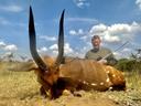 Hunting in Alebtong, Uganda: Best Times for Uganda Kob and Traditional Lango Spear Hunting Techniques

Geographical Features and Natural Landscape

Alebtong, a district n