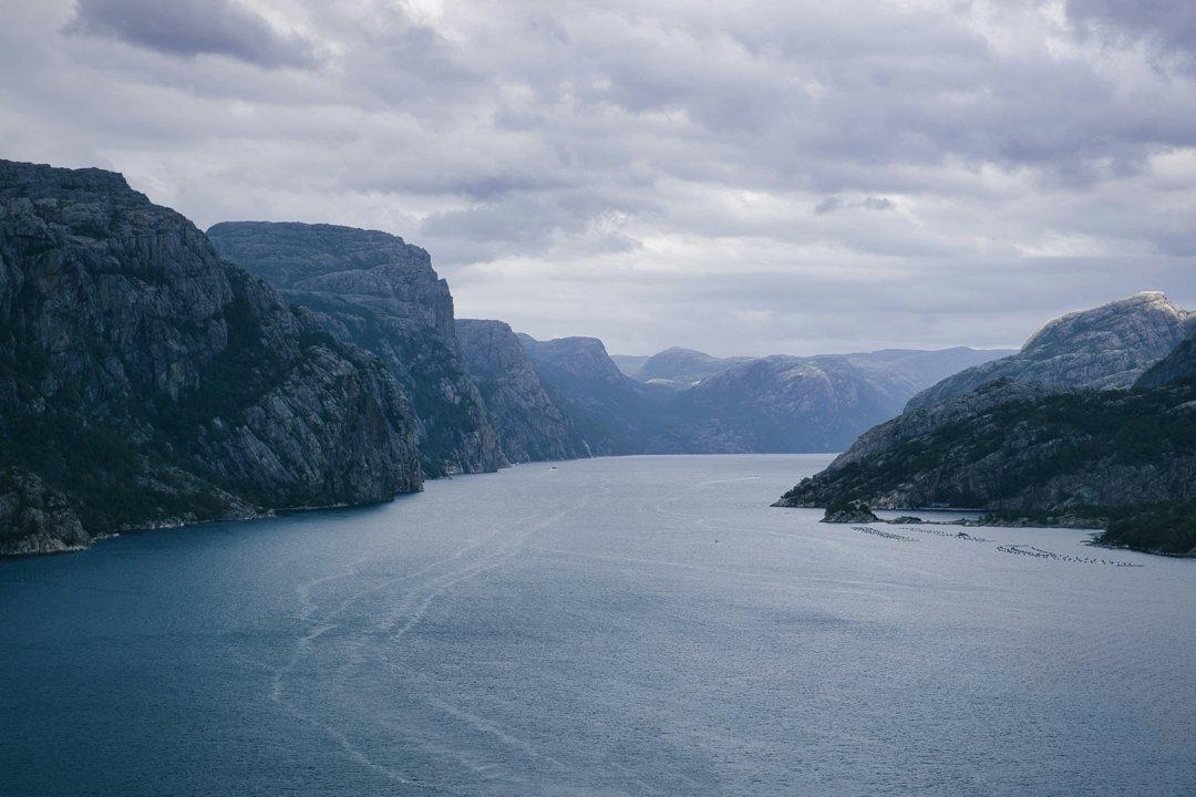 Ringerike Hunting Grounds in Norway: A Comprehensive Guide for Hunters.